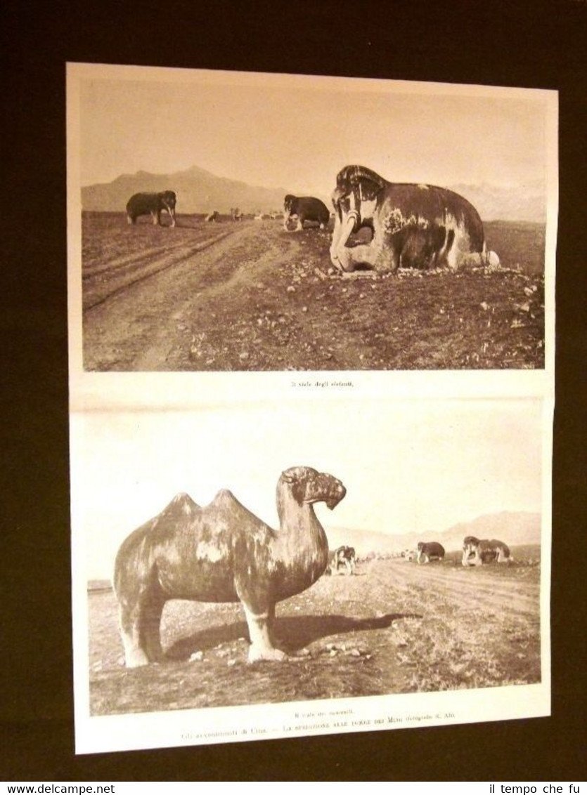 Cina nel 1900 Tombe dei Ming Viale degli elefanti e …