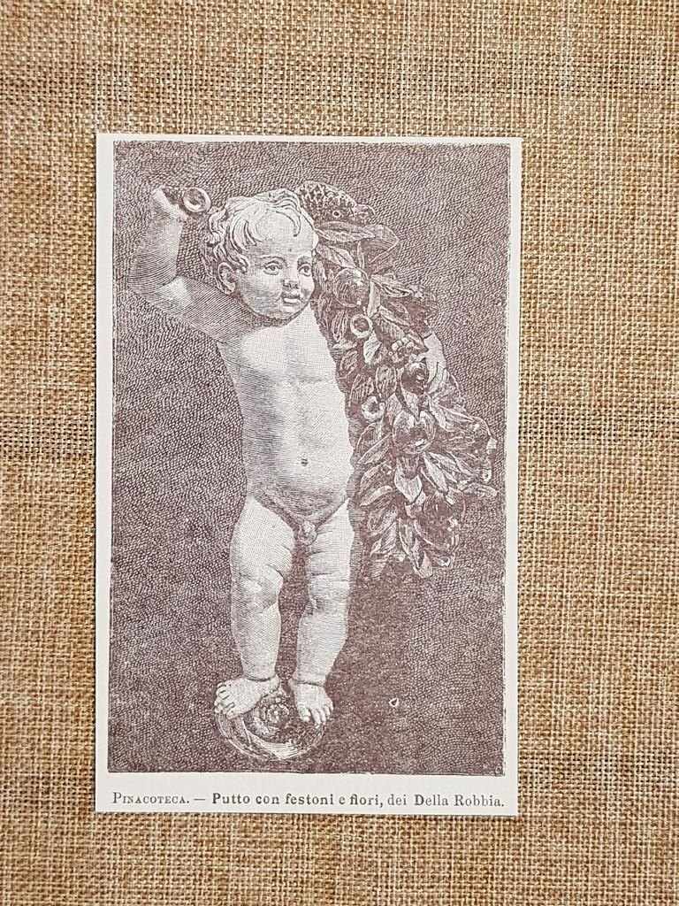 Città di Castello nell'800 Pinacoteca Putto di A. Della Robbia … | Immagine principale