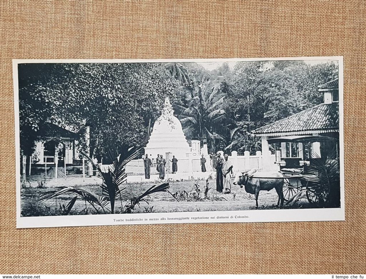 Colombo nel 1927 Tombe buddiste Sri Lanka Buddismo