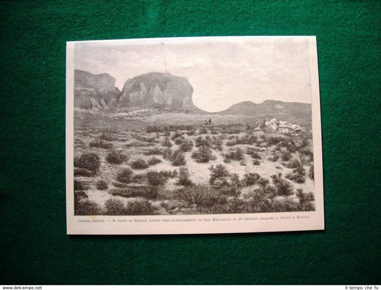 Colonia Eritrea nel 1895 - Piano di Senafè, luogo attendamento …