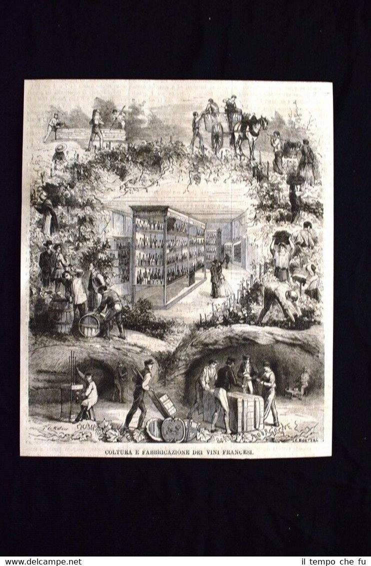 Coltura e fabbricazione dei vini francesi Incisione del 1869 | Immagine principale
