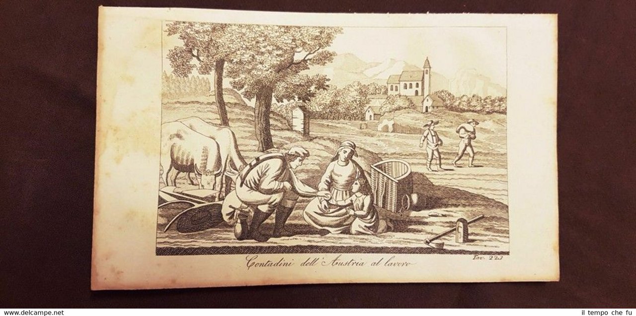 Contadini al lavoro in Austria Acquaforte del 1830 Costume antico … | Immagine principale