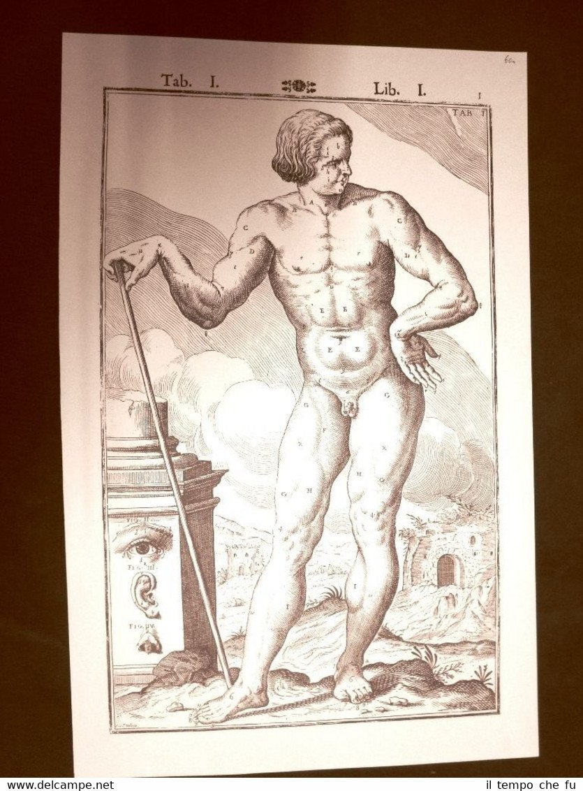 Corpo umano fr. Tavola anatomica Litografia Giulio Cesare Casseri 1627 …