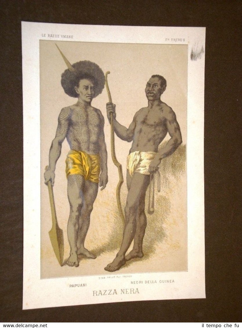 Cromolitografia del 1883 La razza nera o Uomini di colore