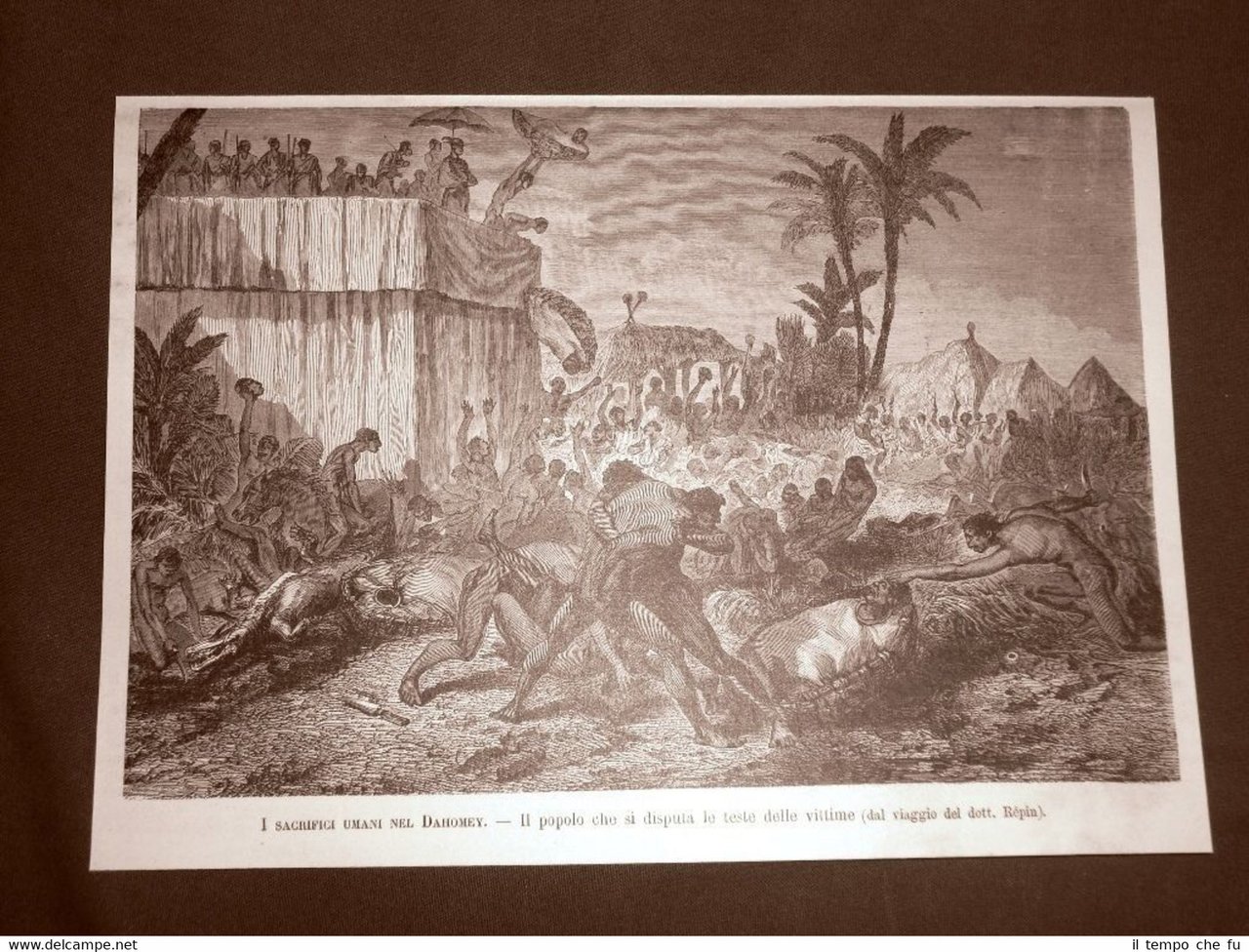 Dahomey nel 1890 Sacrifici umani Festa dei tributi Teste Repubblica …