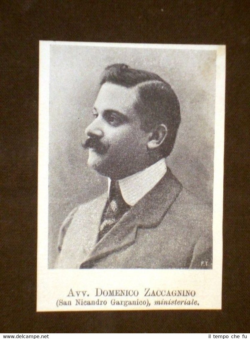 Deputato Avvocato Domenico Zaccagnino di San Nicandro Garganico