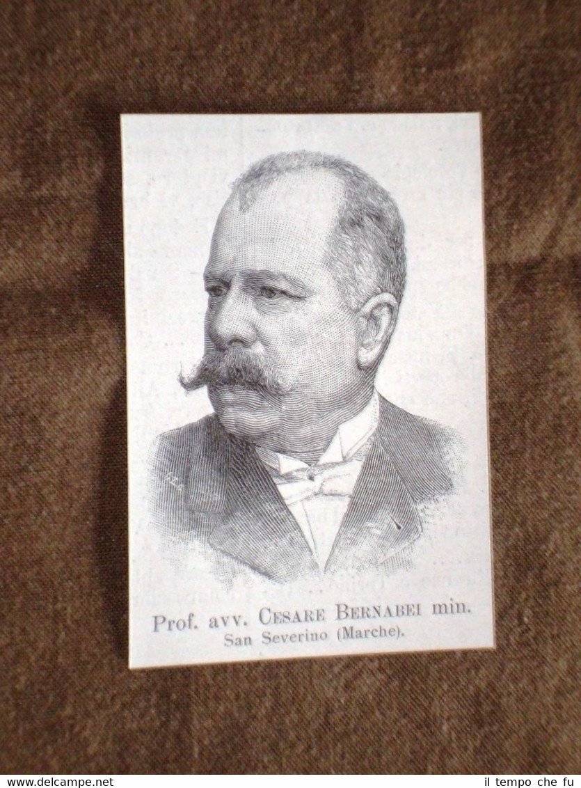 Deputato nel 1895 Onorevole Professore Avvocato Cesare Bernabei di San …