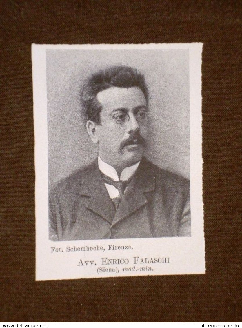 Deputato nel 1904 Avvocato Enrico Falaschi di Siena | Immagine principale