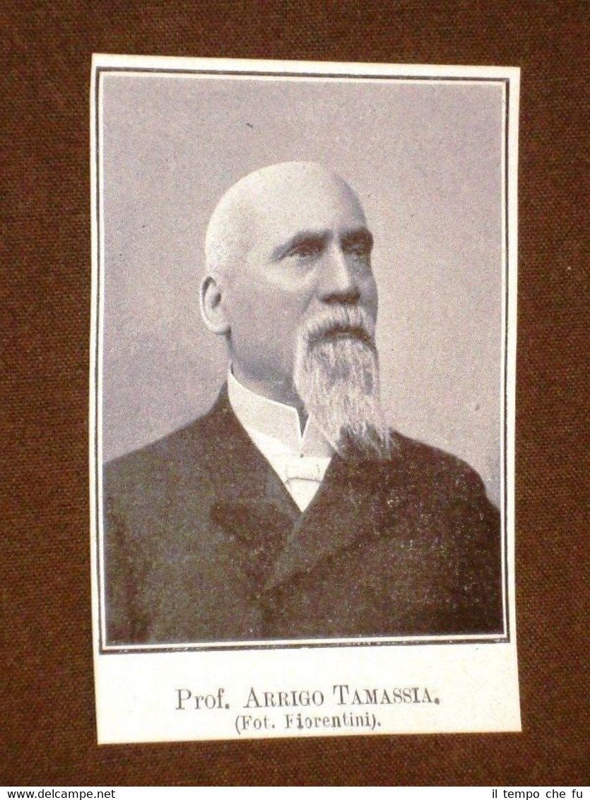 Deputato nel 1909 Senatore Professore Arrigo Tamassia