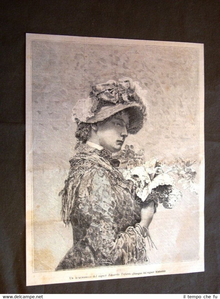 Donna d'Italia del 1880 Acquerello di Edoardo Tofano Disegno di …