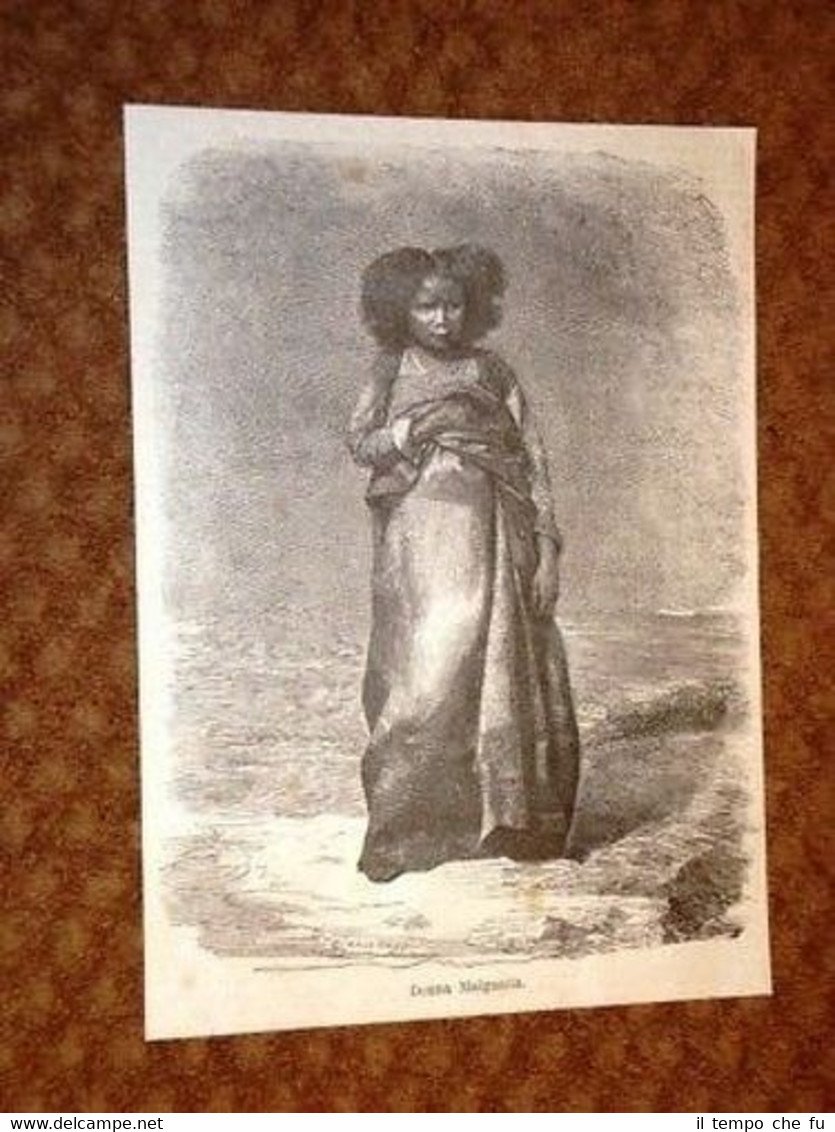 Donna Malgascia o del Madagascar