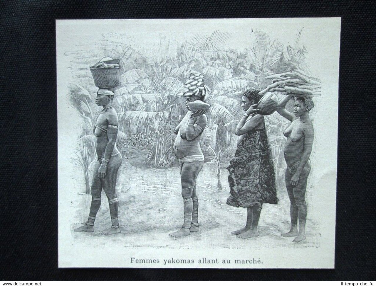 Donne yakoma al mercato - Ubangi-Sciari, Africa centrale Incisione del …