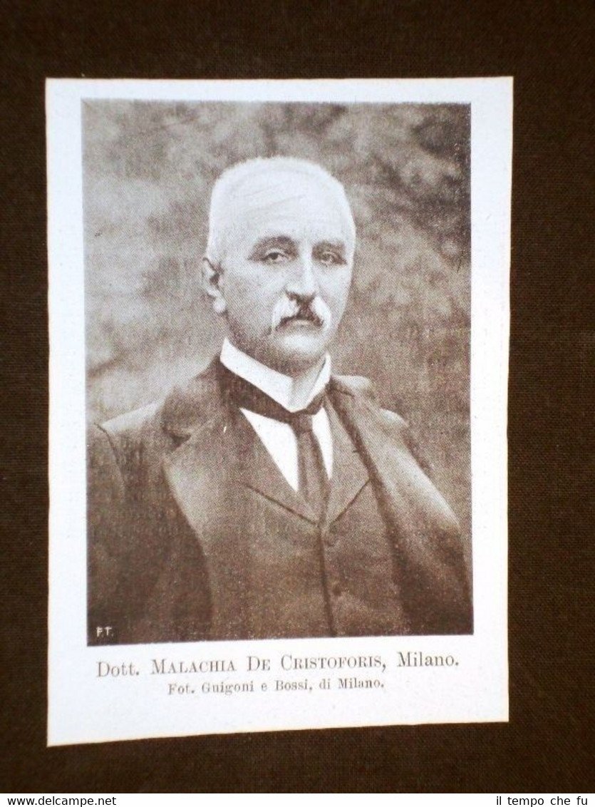 Dott. Malachia De Cristoforis di Milano Senatore in Italia nel …