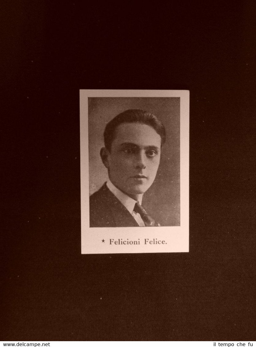 Elezioni Deputato del 1924 Onorevole Felicioni Felice e Troilo Franc. …