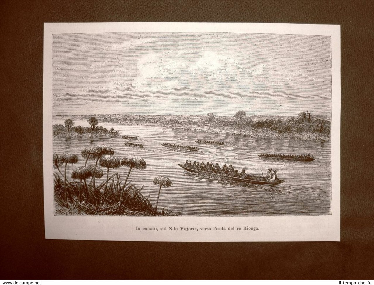 Esplorazione dell'Africa centrale 1863 Su canotti sul Nilo Vittoria verso …