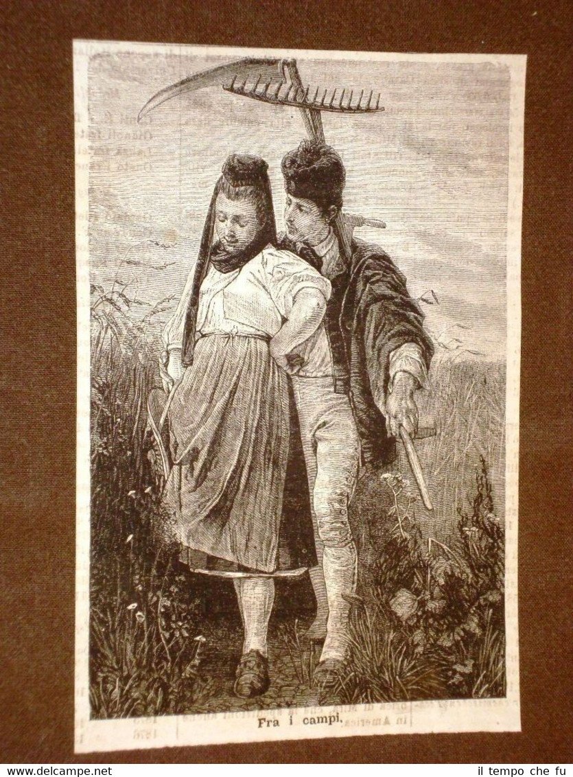 Esposizione d'Arte di Parigi del 1878 Fra i campi Quadro | Immagine principale