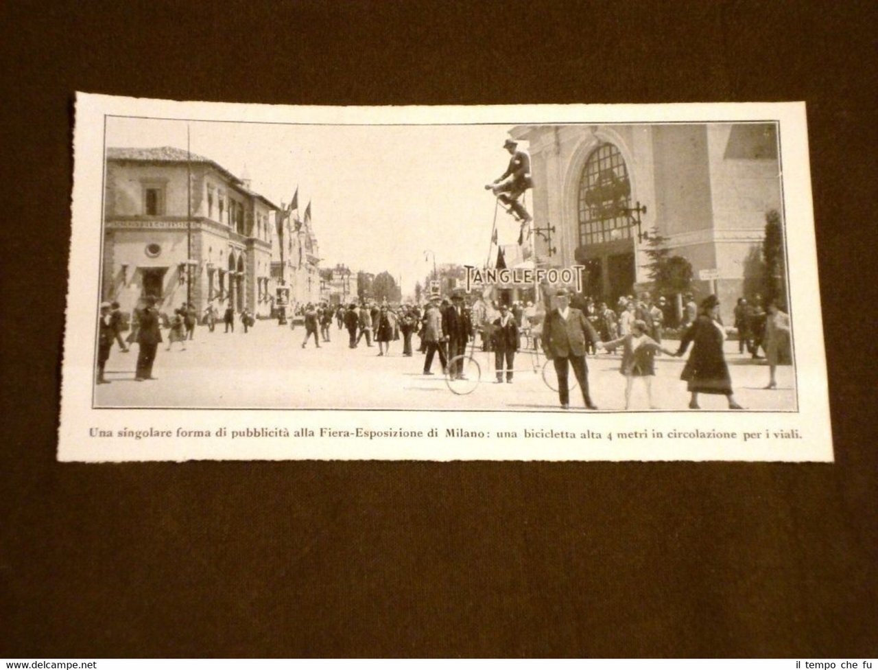 Esposizione di Milano nel 1928 Pubblicità Tanglefoot con bicicletta di …