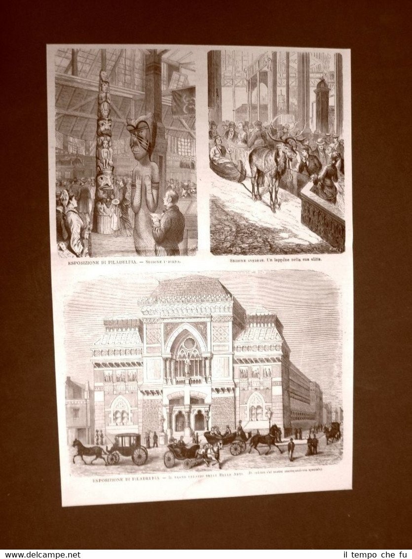 Esposizione Universale di Filadelfia del 1876 Indiani Svezia Lappone Belle …