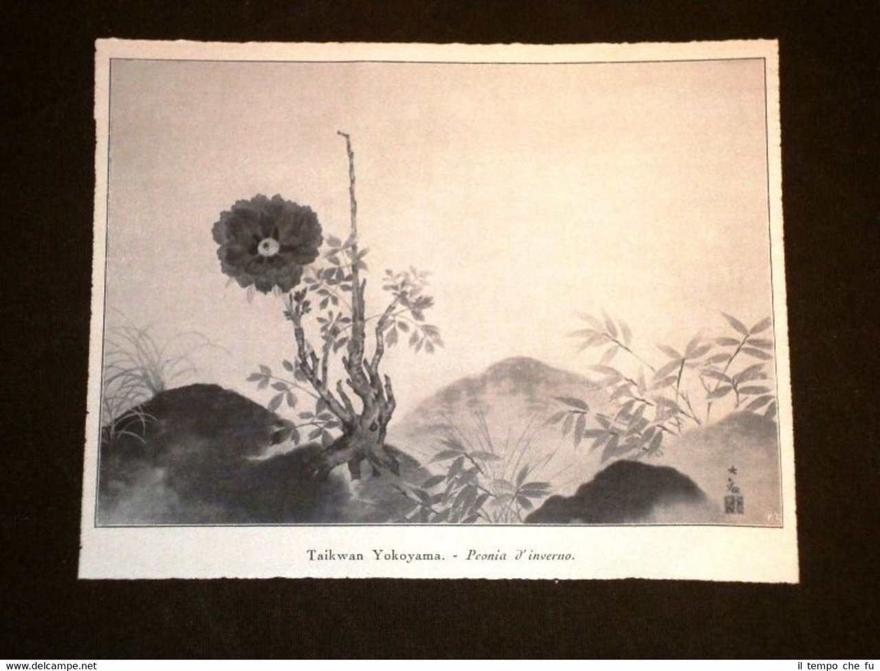 Expo d'Arte Giapponese Roma nel 1930 Peonia d'inverno di Taikwan …