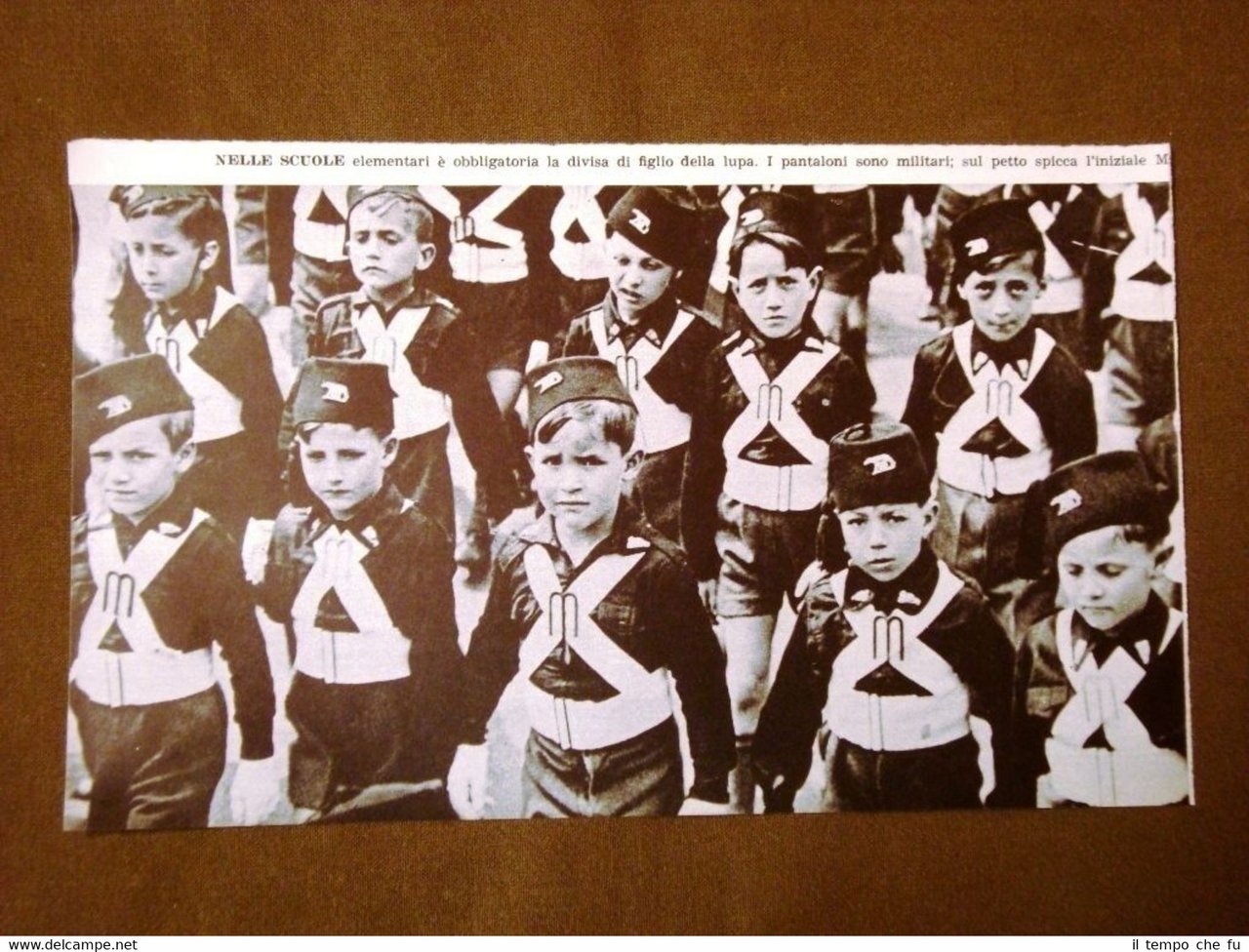 Fascismo in Italia Anni '30 Divisa figlio della Lupa obbligatoria …
