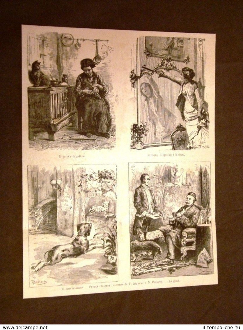 Favole in Italia nel 1880 Illustrazioni di V.Bignami e D.Paolocci | Immagine principale