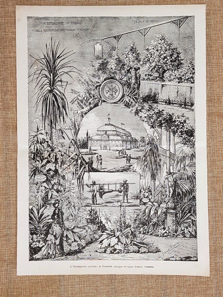 Firenze nel 1880 L'Esposizione orticola Disegno di Edoardo Ximenes