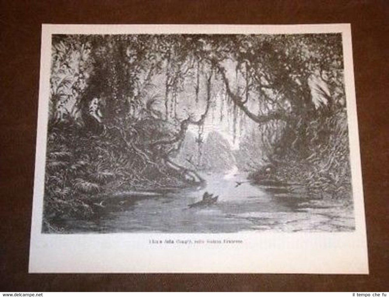 Fiume della Comptè Guiana Francese Francia | Immagine principale