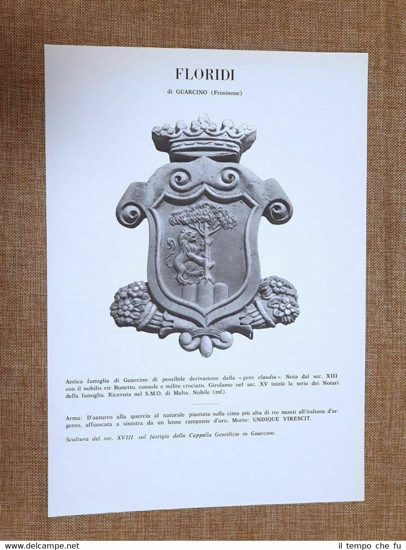 Floridi di Guarcino (Frosinone) Stemma Famiglia Nobile Nobiltà Araldica