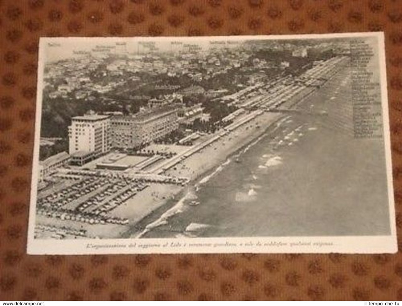 Foto del Lido di Venezia L'immensa Spiaggia