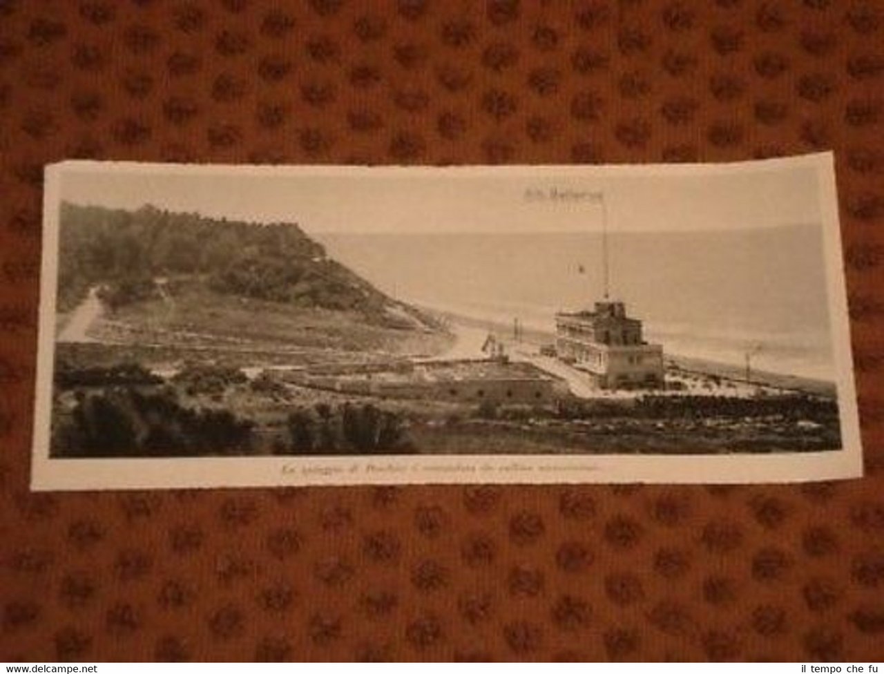 Foto della Spiaggia e delle colline di Peschici