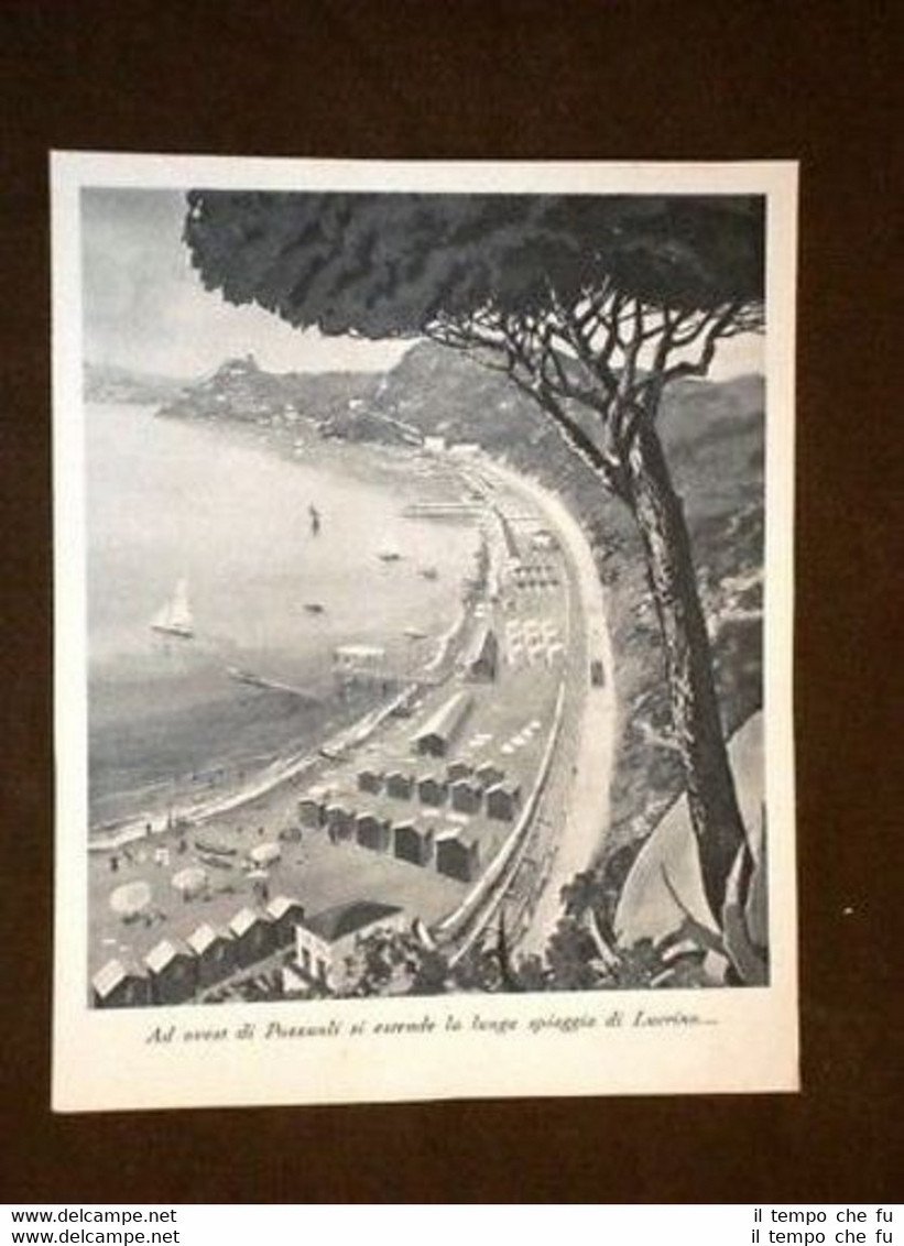 Foto La Lunga Spiaggia di Lucrino ad ovest di Pozzuoli