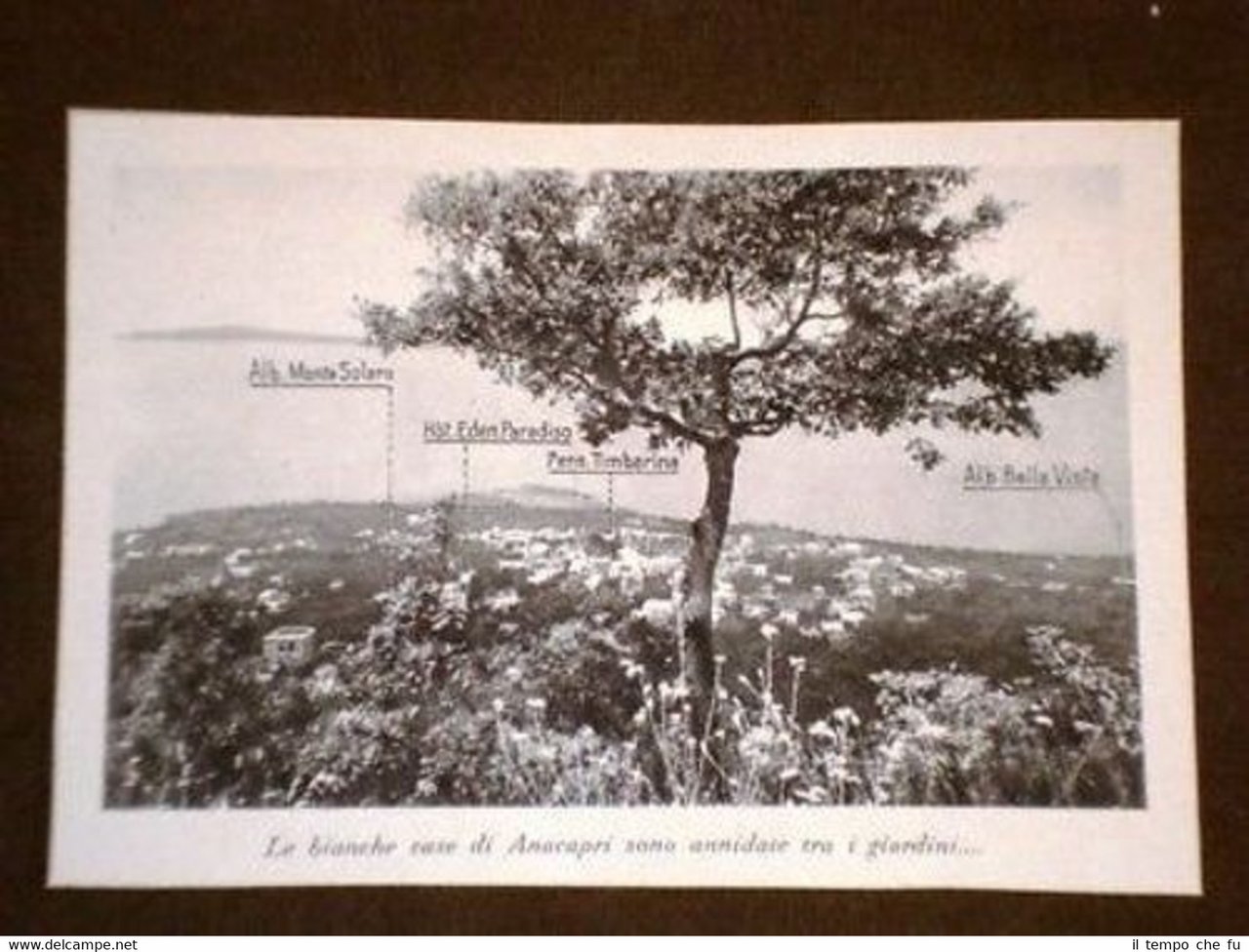 Foto Le bianche case di Anacapri