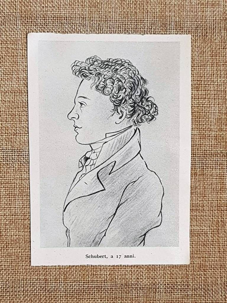 Franz Schubert a 17 anni Compositore d'Austria Maestro del Lied …