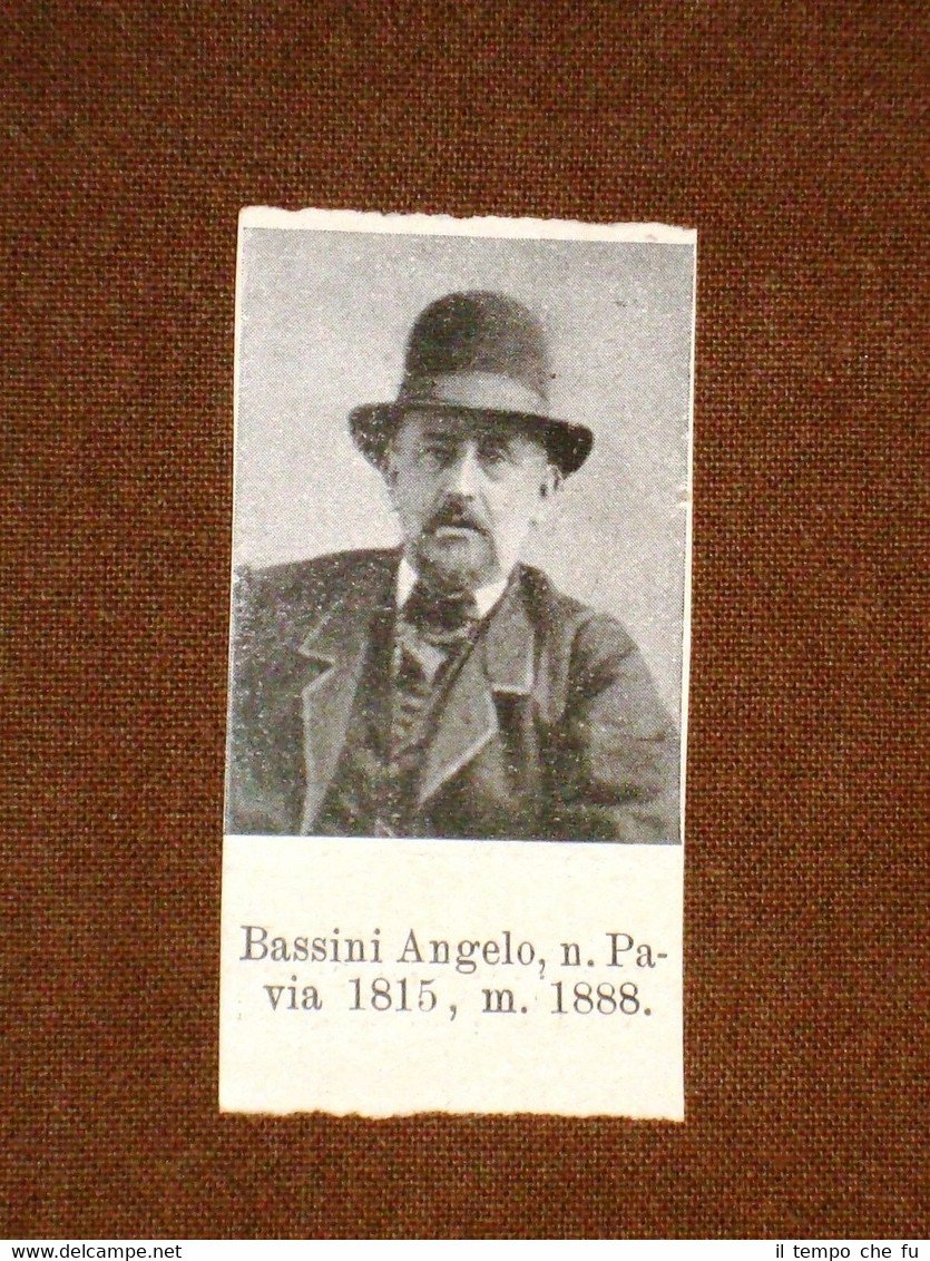 Garibaldino 1000 Garibaldi Bassini Angelo di Pavia e Bonafini Fr.di …