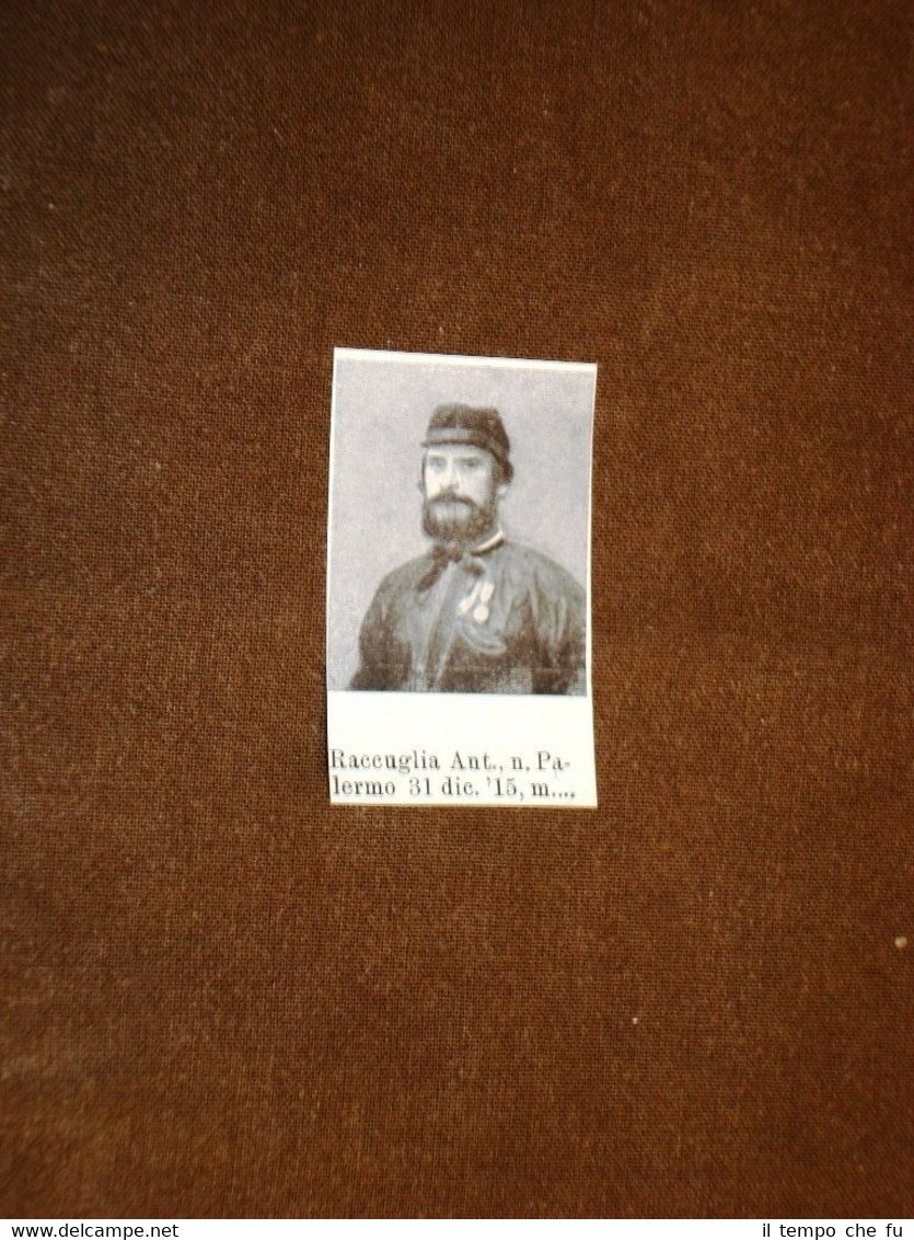 Garibaldino Uno dei Mille di Giuseppe Garibaldi Raccuglia Antonio di …