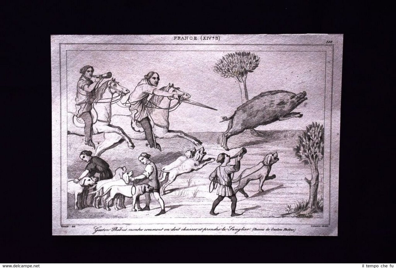Gaston Phebus, Sanglier, France Incisione del 1850 L'Univers pittoresque