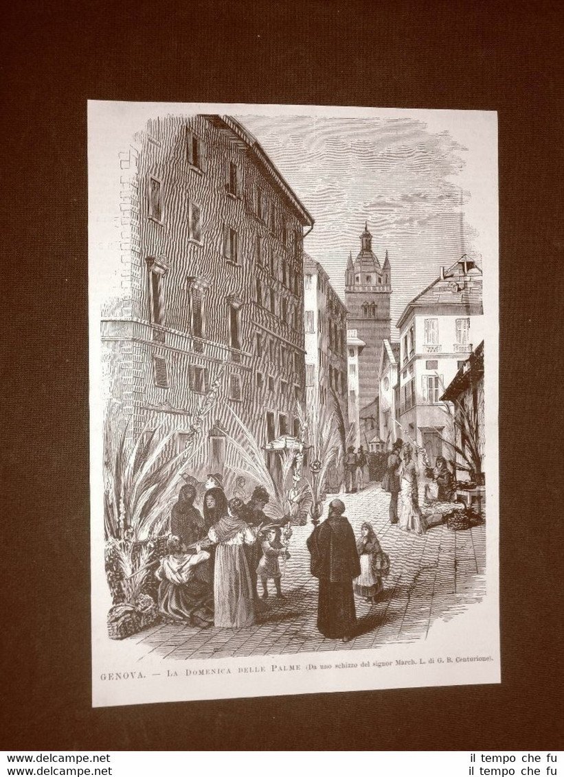 Genova nel 1877 La Domenica delle Palme Liguria