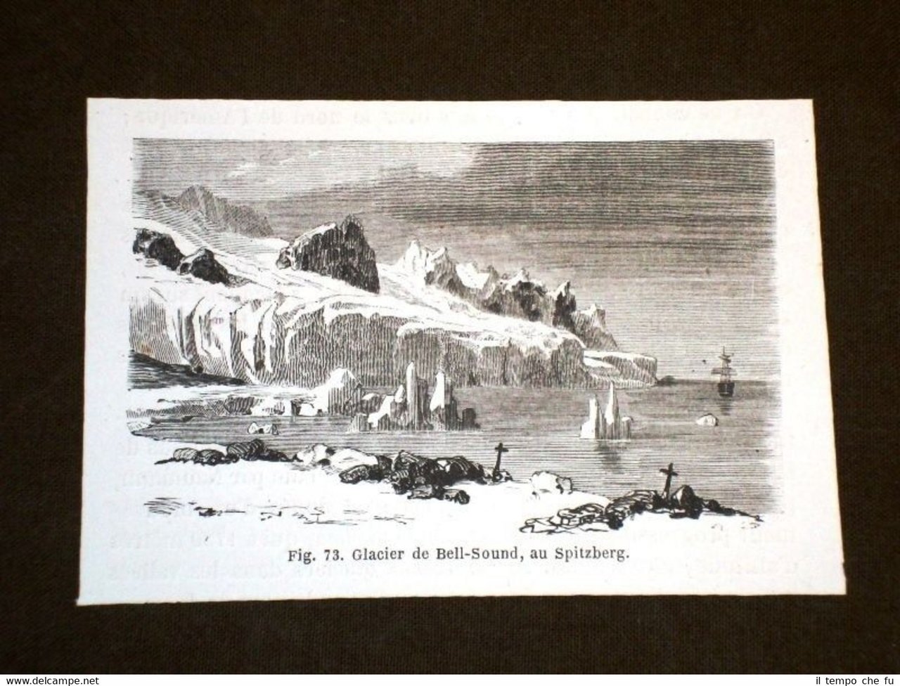 Ghiacciaio di Bell Sound nel 1864 Spitzberg