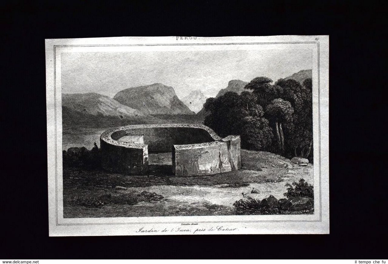 Giardino dell'Inea, presso Canar, Perù Incisione del 1850 L'Univers pittoresque