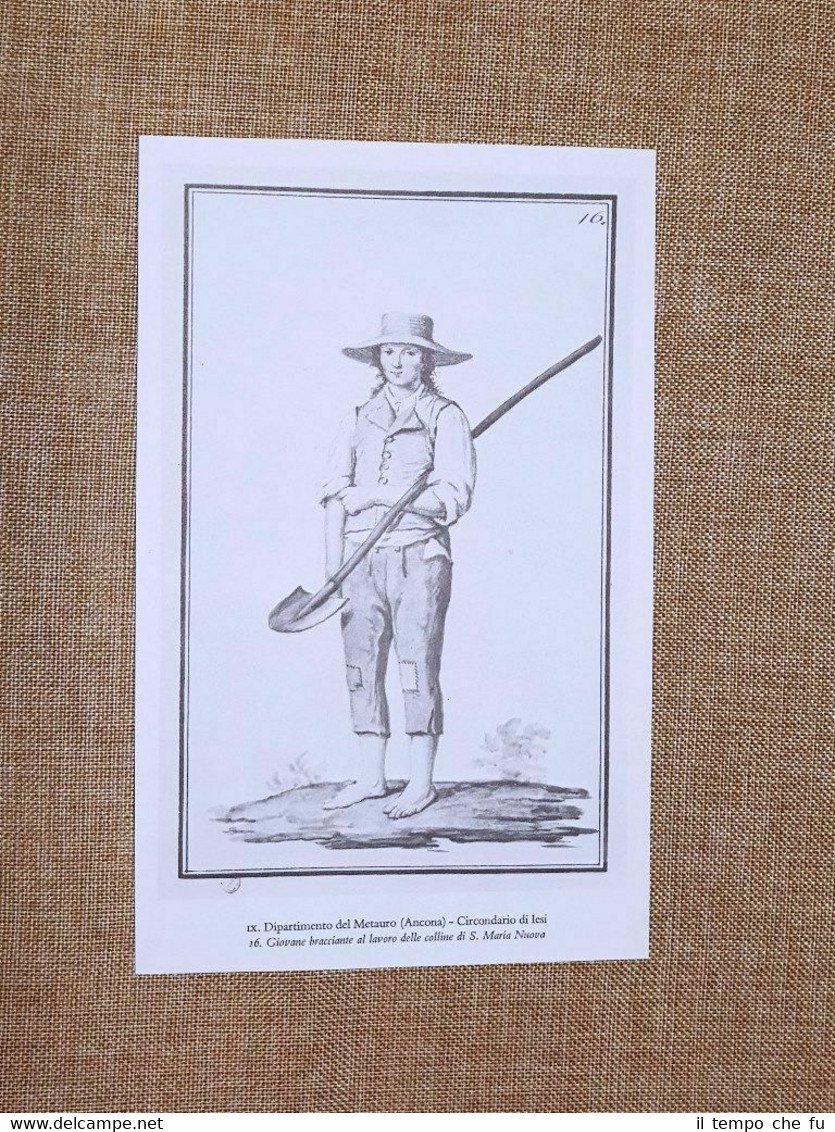 Giovane Santa Maria Nuova Iesi Metauro Ancona Regno Italico d'Italia …
