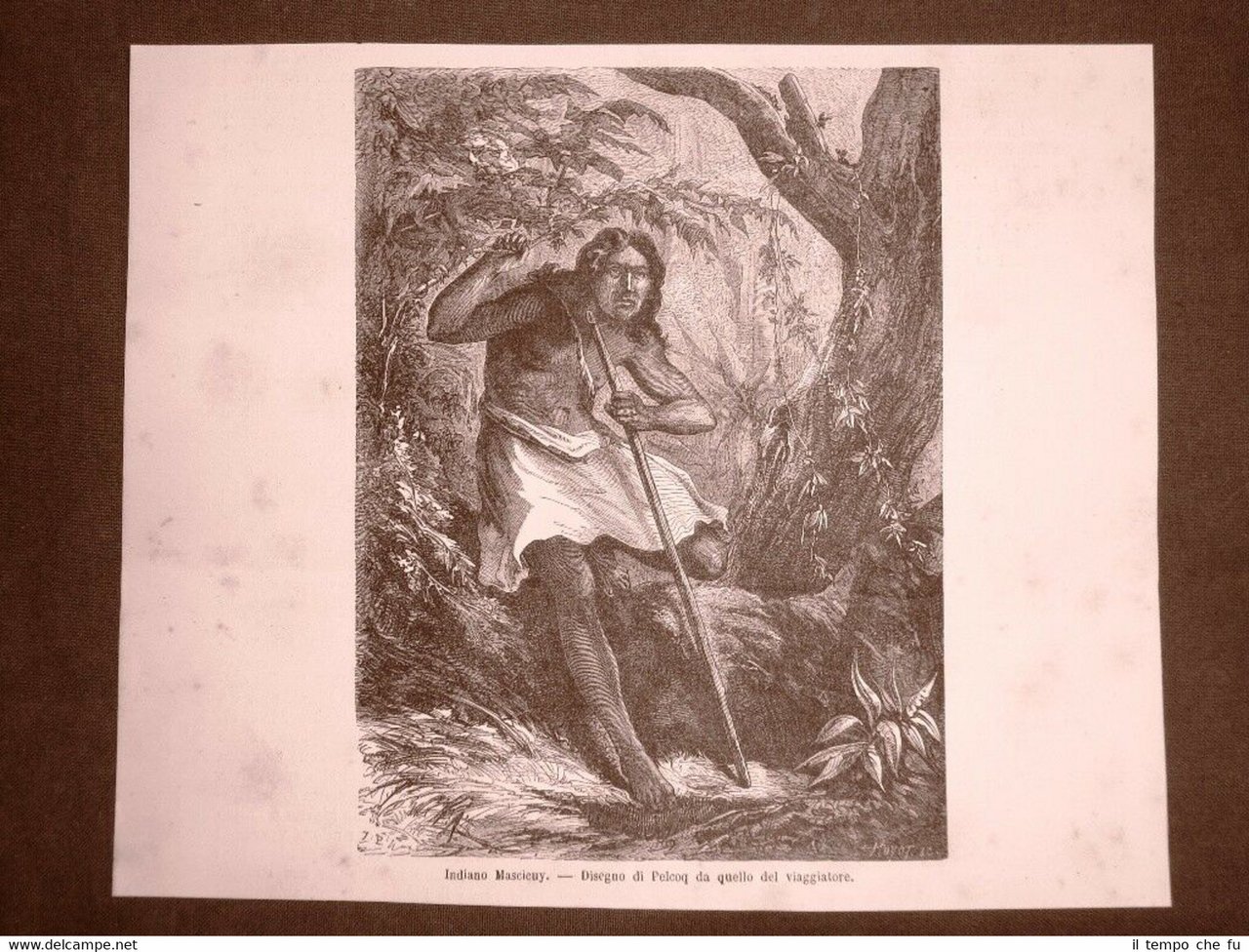 Gli Indiani d'America nel 1863 Etnia Mascicuy