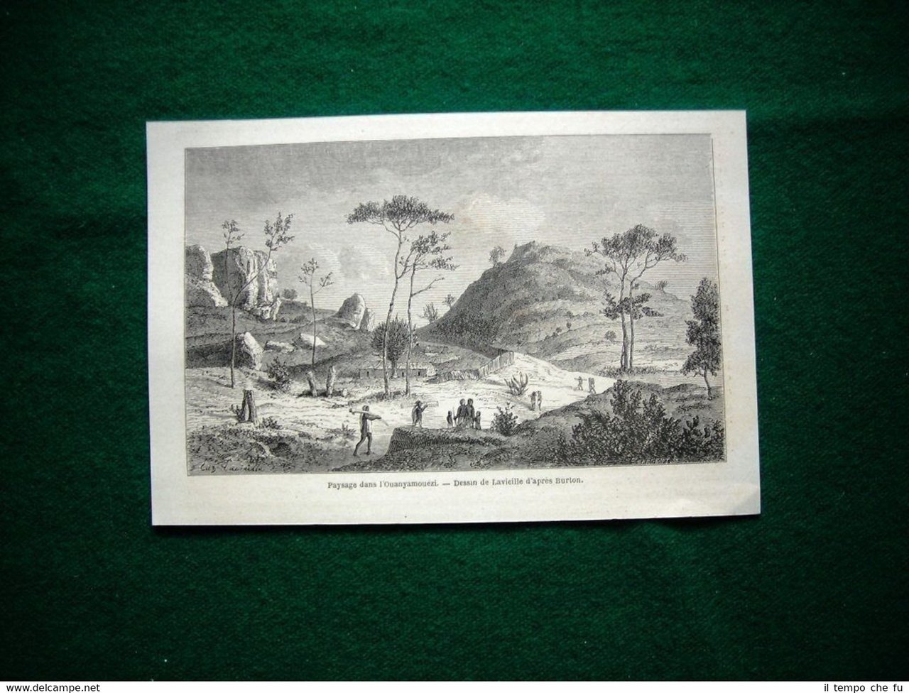 Gravure année 1860 paysage dans l'Ouanyamouézi, Afrique, Africa | Immagine principale