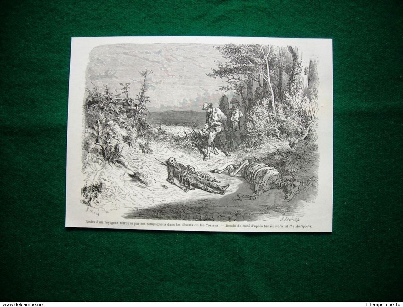 Gravure année 1860 restes d'un voyageur retrouve par ses compagnons