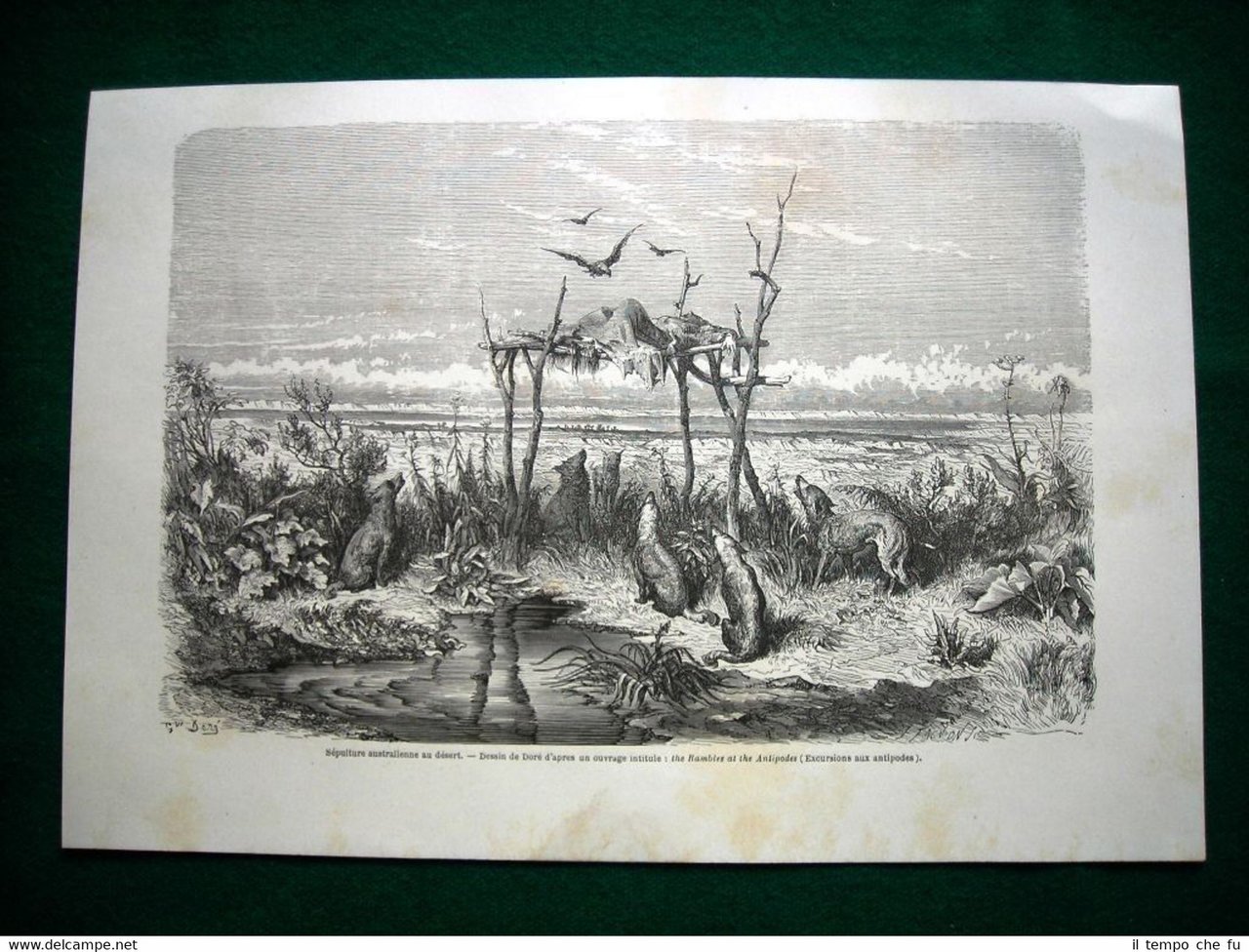 Gravure année 1860 sépulture australienne au désert - sepoltura nel …