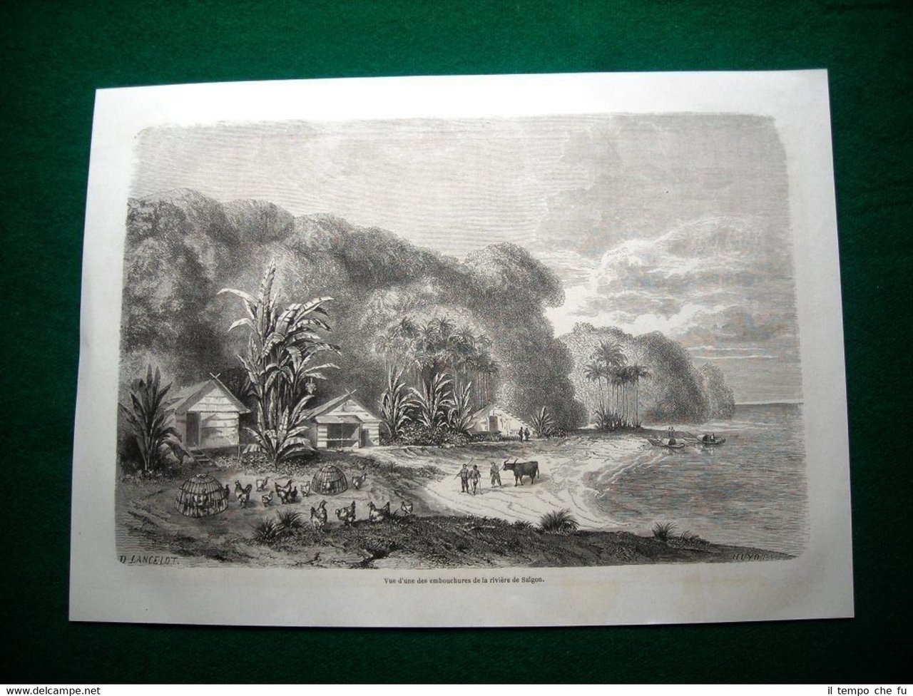 Gravure année 1860 vue d'une des embouchures de la rivière …