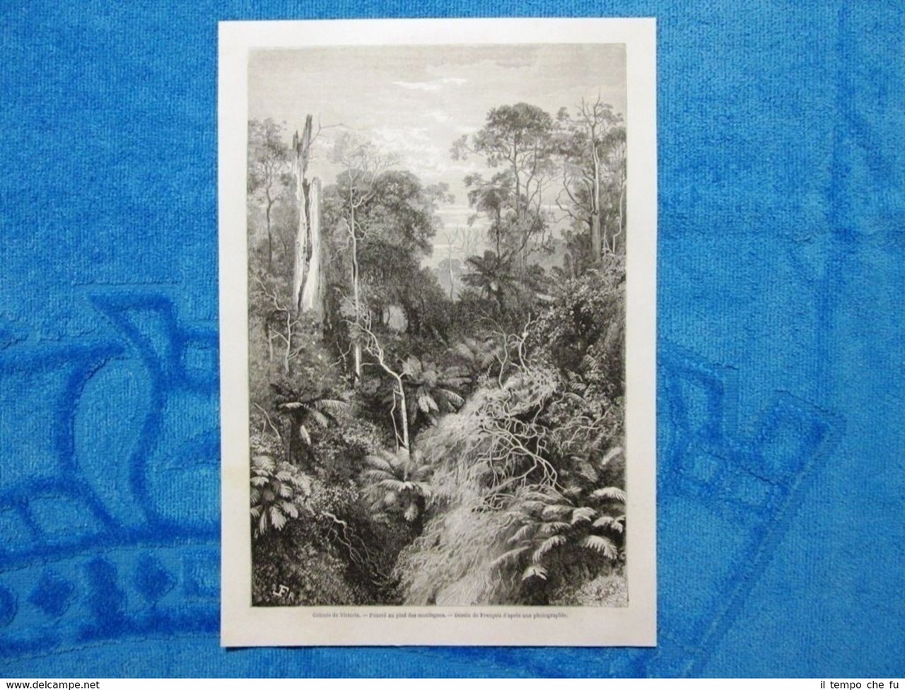 Gravure Année 1861 - Colonie de Victoria(Australie)-Colonia Victoria(Australia) | Immagine principale