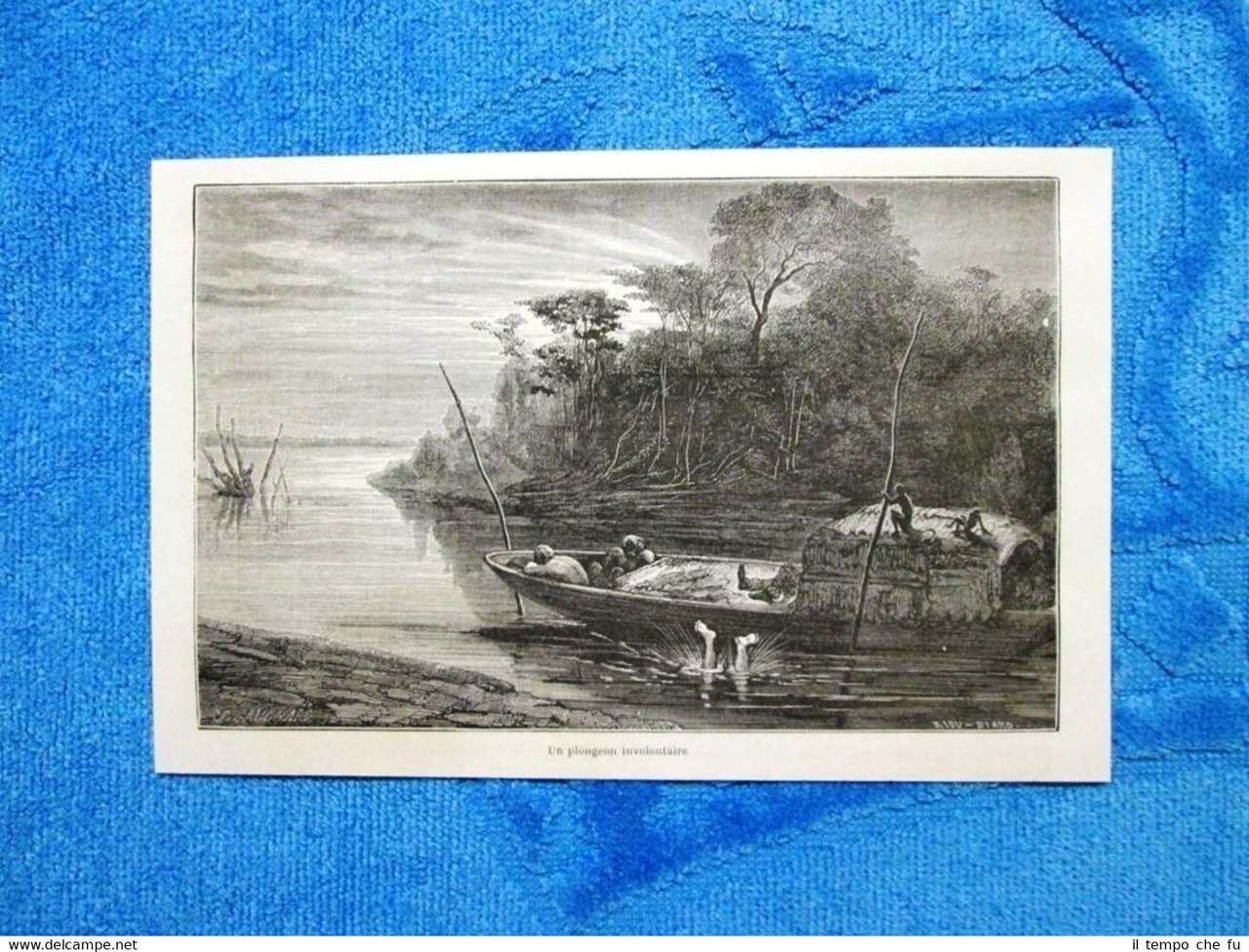 Gravure Année 1861 - Un plongeon involontaire - Un tuffo … | Immagine principale