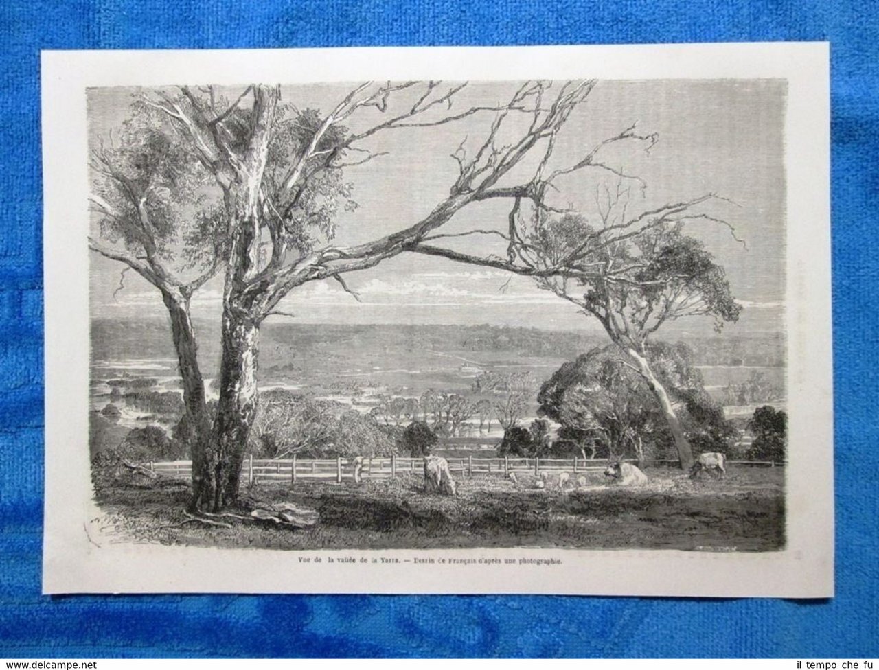 Gravure Année 1861 - Vue de la vallée de la …