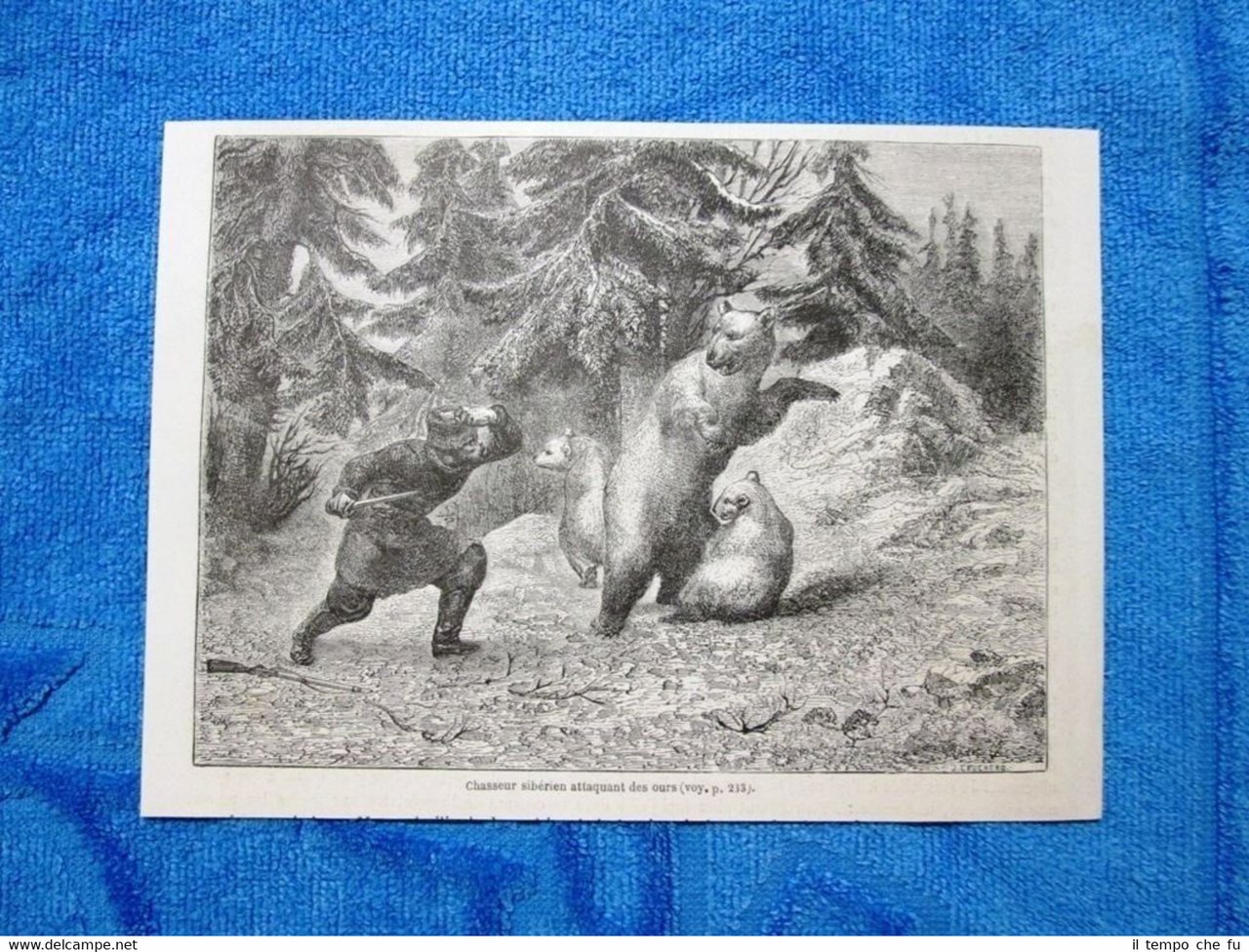 Gravure Année 1862 - Chasseur attaquant de ours - Cacciatore …