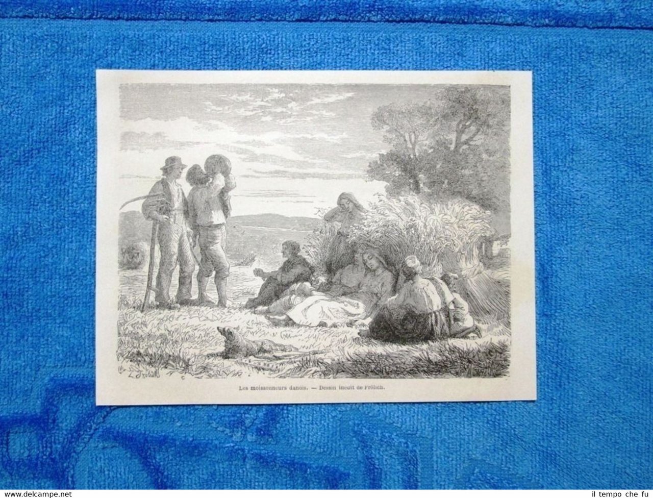 Gravure Année 1862 - Les moissonneurs danois - Mietitori danesi